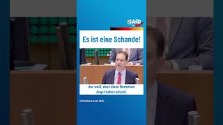 Es ist eine Schande afd ltnrw [upl. by Nuawtna]