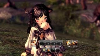 Blade amp Soul 20  Lyn Blade Master lvl 36 Gameplay  Max Settings Full HD  Korea Test Server [upl. by Odlauso665]