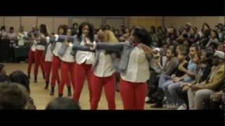 UNCC Stroll Competition 2012 Delta Sigma Theta Stroll 3 [upl. by Retep]