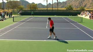 Janko Tipsarevic hitting in High Definition [upl. by Aidul402]