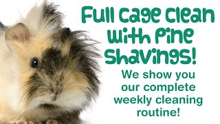 How to CLEAN a Guinea Pig CAGE with Pine Bedding  Full CAGE CLEAN for 5 Piggies [upl. by Dnamra]