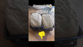 Rescue your overproofed dough with this easy hack bakingtips bakinghacks freshmilledflour [upl. by Frasch]