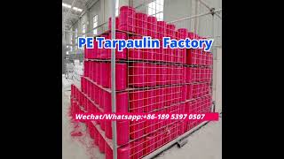 China PE Tarpaulin Factory high quality and wholesale price for PE Tarpaulin [upl. by Nodnahs]