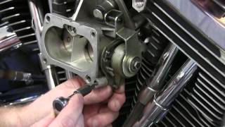 ThunderMax Marelli EFI Throttle Adjustment [upl. by Krantz]