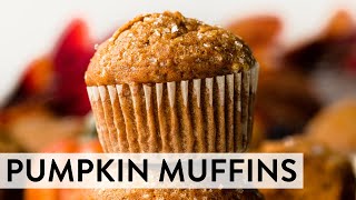 Easy Pumpkin Muffins  Sallys Baking Recipes [upl. by May]