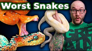 Top 5 WORST Pet Snakes and 5 BETTER Options Youve Never Heard Of [upl. by Riggs510]