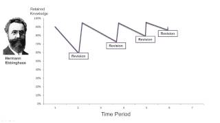 Ebbinghaus Effect Chart [upl. by Vashti257]