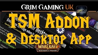 WoW Addons TradeSkillMaster amp Desktop App [upl. by Enetsuj]