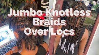 Knotless Braids Over Locs  Quick Video [upl. by Iccir897]