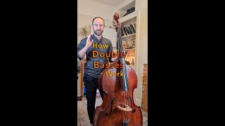 How Double Basses Work [upl. by Aihsiyt]