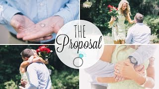 THE PROPOSAL  Will Make You Cry [upl. by Tucker]