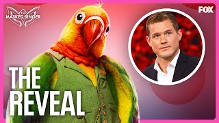 The Reveal Colton Underwood is Lovebird  Season 11  The Masked Singer [upl. by Ulphia]