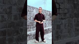 Out trình beneagle training kungfu martialarts fighting shaolin silat wushu taekwondo [upl. by Burbank]