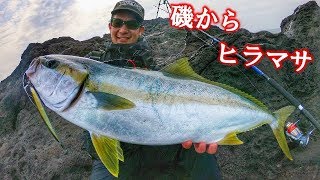 青物先生が主役です！な動画【ヒラマサチャレンジ２０１９第2回】 [upl. by Anividul244]