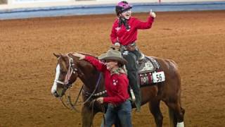 2016 World Para Reining International Team Competition [upl. by Nayt]