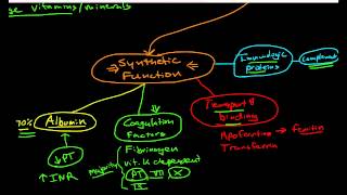 Hepatic Physiology 1 Functions of the Liver [upl. by Nevanod]