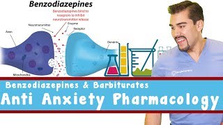 Anti Anxiety Pharmacology Benzodiazepines and Barbiturates [upl. by Feriga]