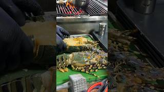 Must Eat Biggest Lobster BBQ food seafood lobster thailand [upl. by Eel]