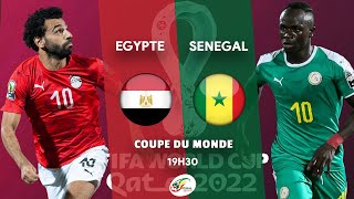 EGYPTE  SENEGAL LIVE  LA REVANCHE POUR SALAH   BARRAGES COUPE DU MONDE  CDM 2022 [upl. by Coussoule]