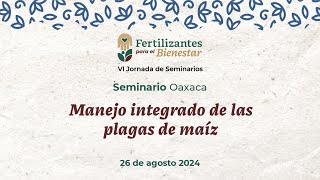 S3 Manejo integrado de las plagas de maíz [upl. by Adina702]