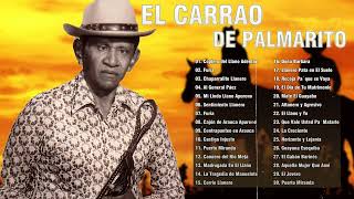 El Carrao De Palmarito Sus Grandes Exitos  El Carrao De Palmarito Mix Musica llaneras Venezolanas [upl. by Philipson550]