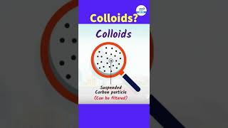 What Are Colloids Simple Definition and RealLife Examples  fog shorts  InfinityLearn910 [upl. by Autumn]