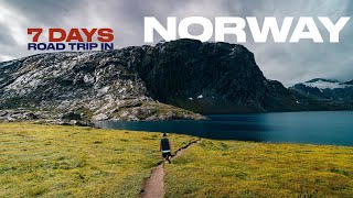 Road trip INCREDIBILE tra i Fiordi Norvegesi  weekly road trip vlog [upl. by Meeks303]