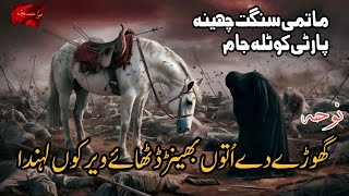 Noha  Ghory Dy Utoon Bhainr Dithaye Veer Koon Lahnda  Noha Imam Hussain as youtube nohay trend [upl. by Aicilat847]