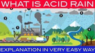 Acid rain  what is acid rain  acid rain in english  define acid rain [upl. by Marala343]