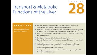 GI Physiology II Ganong Chapter 28 [upl. by Critchfield418]