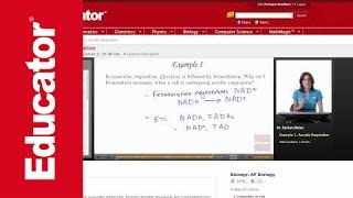 Aerobic Respiration Anaerobic Respiration and Fermentation [upl. by Eugnimod159]