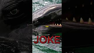 The False Killer Whale’s a JOKE shorts [upl. by Alexei976]