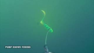 Fat Pike Smashes Savage Gear Real Eel  Waterwolf Underwater Footage [upl. by Hyacinthia]