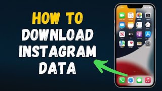 How to Download your Instagram data 2024 Full Guide [upl. by Giesser872]