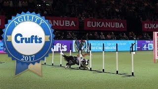 Fastest Runs from the Agility Championship Final at Crufts 2017 [upl. by Dorsy469]