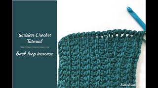 Tunisian Crochet Tutorial  How to make a Back Loop Increase  Right handed [upl. by Alrahc198]