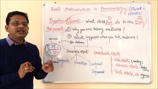 Pharmacokinetic and Pharmacodynamic  General Pharmacology  General Pharmacology  ADME Concepts [upl. by Olemrac960]