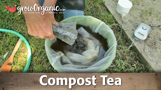 How to Make and Use Compost Tea in Your Organic Garden [upl. by Eedissac]