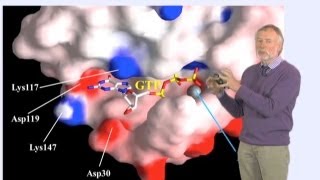 Alfred Wittinghofer MPI Part 2 GTPase Reactions and Diseases [upl. by Anilah]