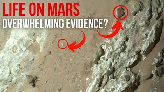 Perseverance Finds Hints of Life On Mars This Rock Shocked NASA [upl. by Rossner142]