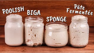 Yeasted Preferments Explained  Poolish Biga Sponge Pâte Fermentée [upl. by Ylram500]