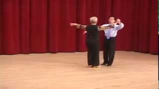 Gold Viennese Waltz  Introduction to Fleckerls Ballroom Dance Lesson [upl. by Menedez330]