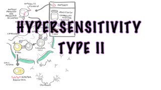 Hypersensitivity Type II Cytotoxic reaction  causes pathophysiology complement system [upl. by Duffie873]