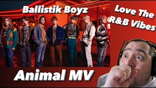 Ballistik Boyz Animal MV Reaction [upl. by Corsiglia174]