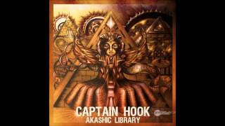 Liquid Soul  Crazy People Captain Hook amp Domestic Remix [upl. by Levitus233]