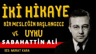 quotUykuquot quotBir Mesleğin Başlangıcıquot Sabahattin Ali Hikayeleri Sesli Kitap [upl. by Nillad]