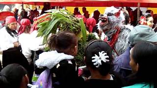 Carnaval Tenango de Doria Hgo 2015 [upl. by Atihcnoc]