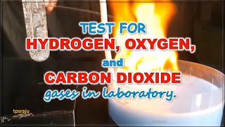 Test for oxygen hydrogen and carbon dioxide gases in laboratory [upl. by Jeth814]