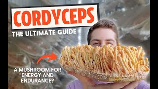 Zombie Fungus or Energy Mushroom The Ultimate Guide To Cordyceps [upl. by Dressler]