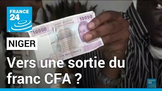 Niger Mali et Burkina Faso  vers une sortie du franc CFA • FRANCE 24 [upl. by Ase246]